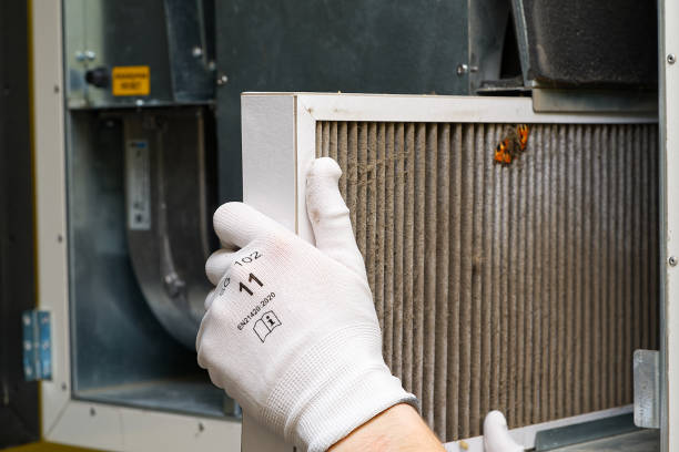 Best Air Vent Cleaning Services  in Farmersville, CA