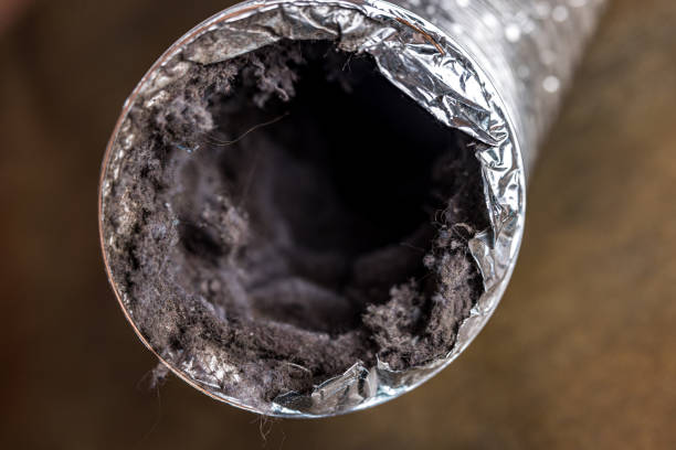Best Air Duct Cleaning Near Me  in Farmersville, CA